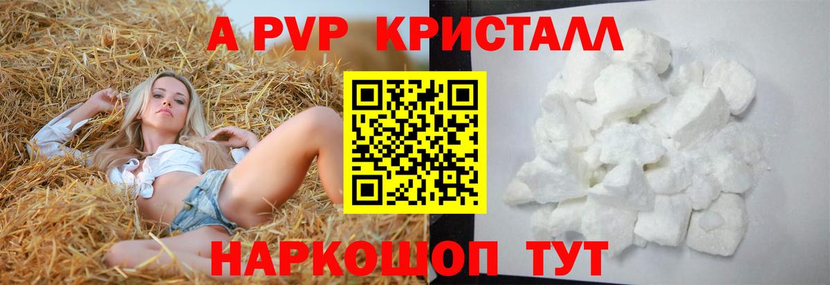 Альфа ПВП СК Бахчисарай