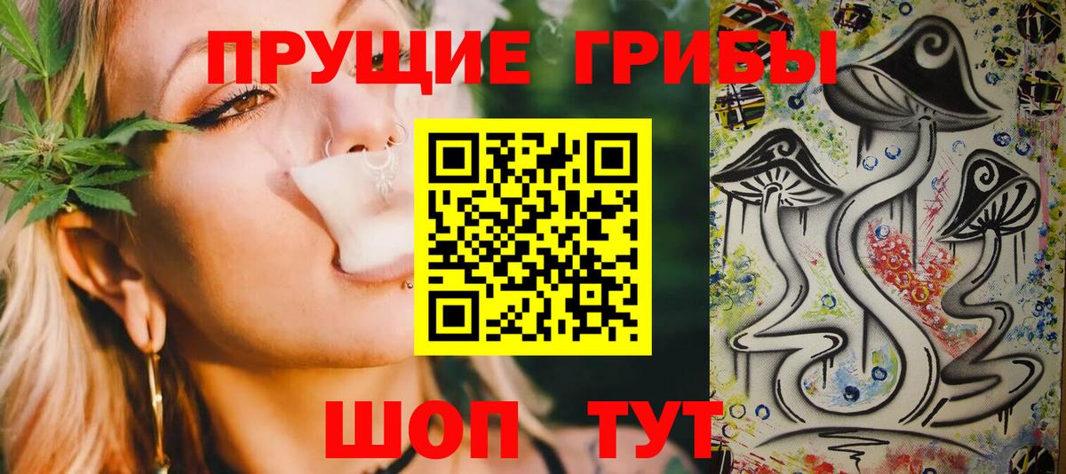 Бахчисарай  Псилоцибиновые грибы MAGIC MUSHROOMS  Вход с VPN 
